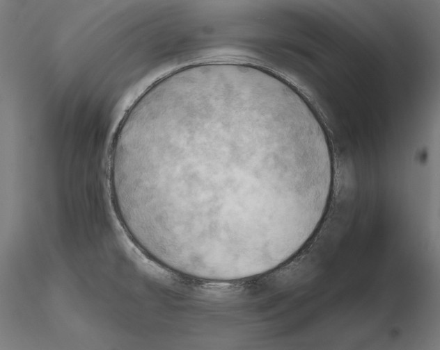 X0000115191478200912091059