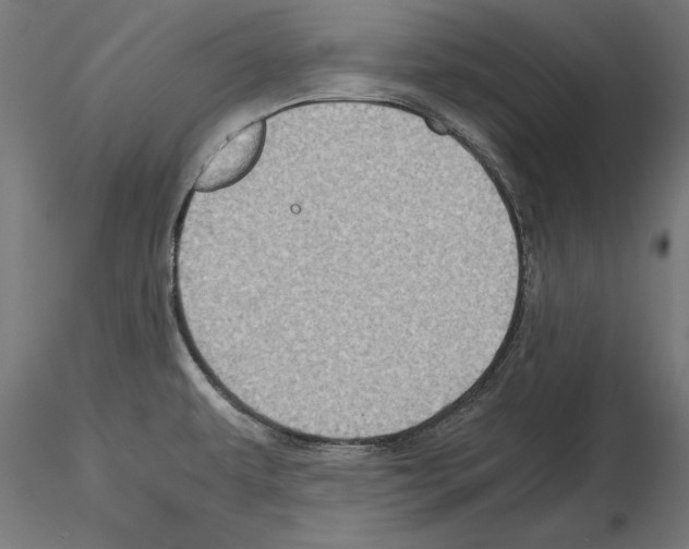 X0000115191479200912091059