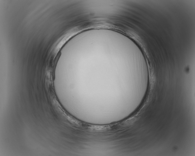 X0000115191481200912091059