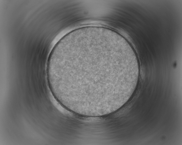 X0000115191482200912091059