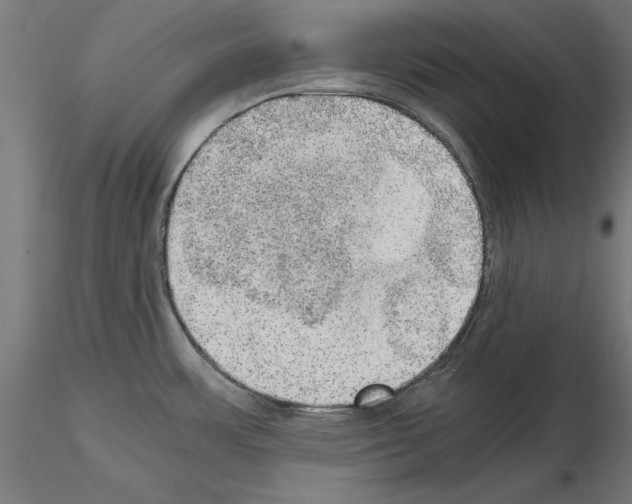 X0000115191483200912091059