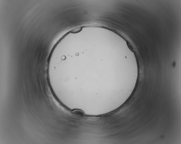 X0000115191484200912091059