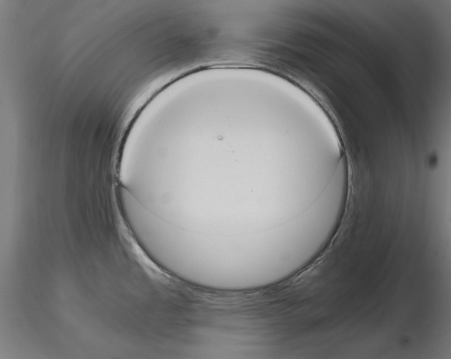 X0000115191485200912091059