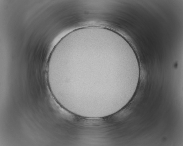 X0000115191486200912091059