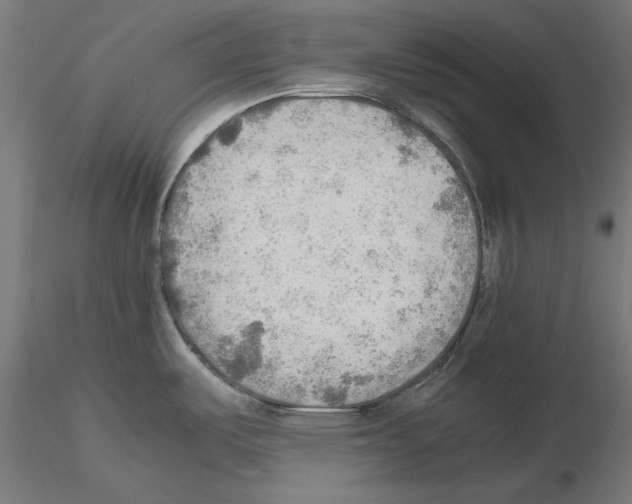 X0000115191487200912091059