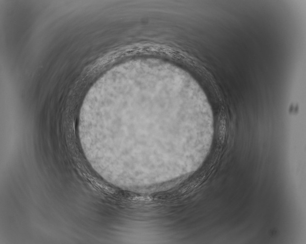 X0000115191489200912091058