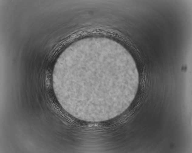 X0000115191490200912091058