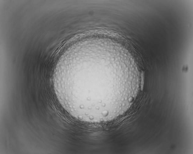 X0000115191491200912091058