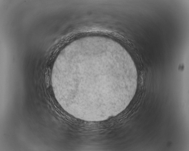 X0000115191493200912091058