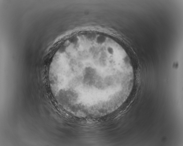 X0000115191494200912091058