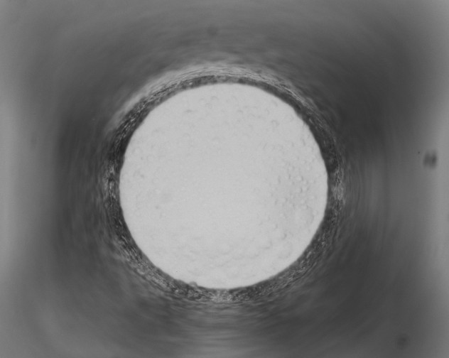 X0000115191495200912091058