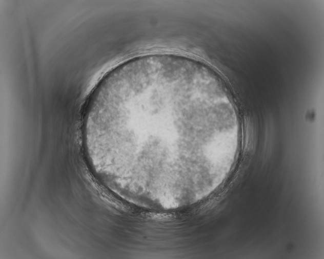 X0000115191501200912091058