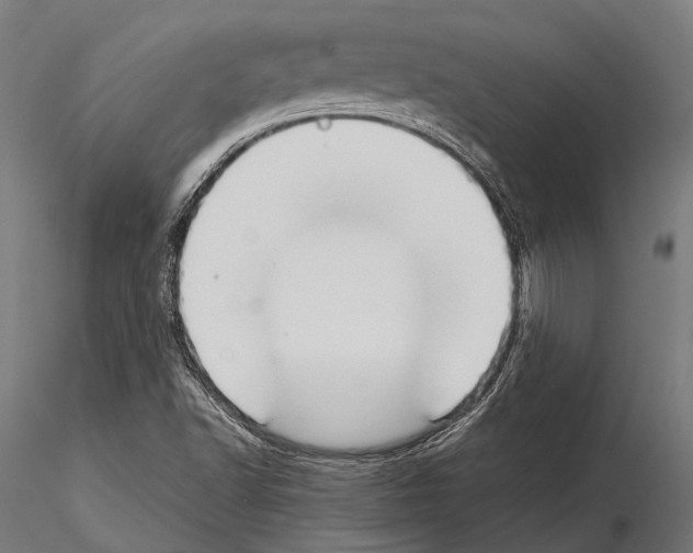 X0000115191502200912091058