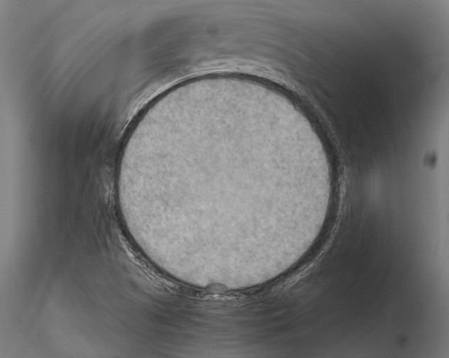 X0000115191505200912091058