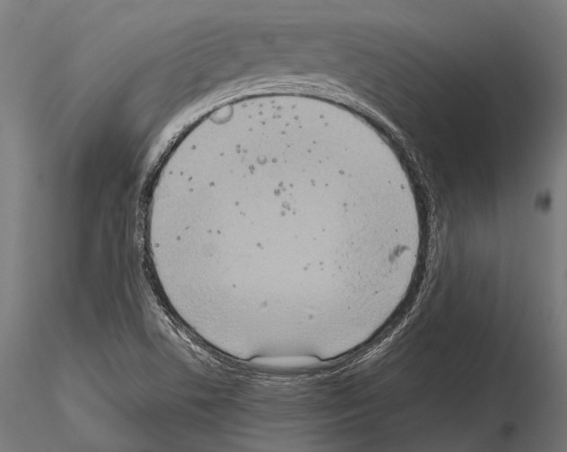 X0000115191506200912091058