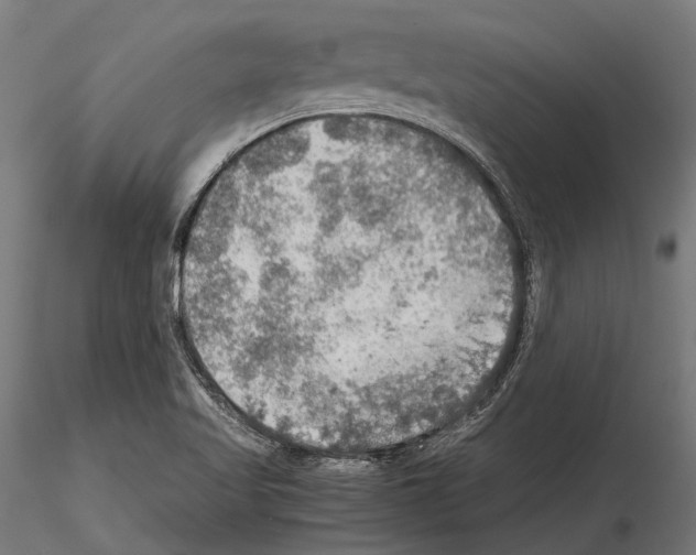 X0000115191509200912091058