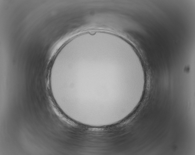 X0000115191511200912091058