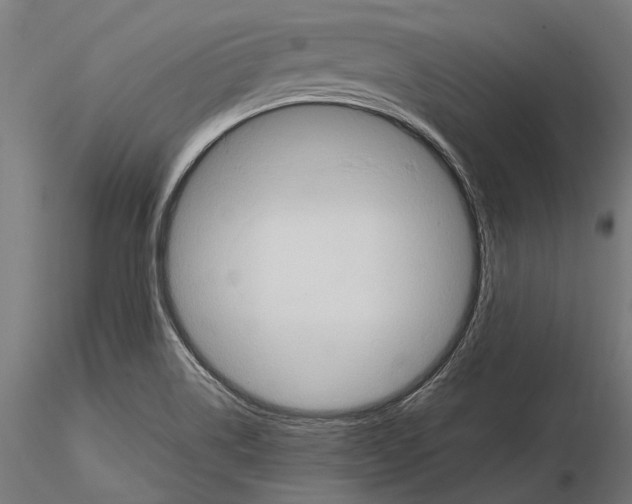 X0000115191514200912091058