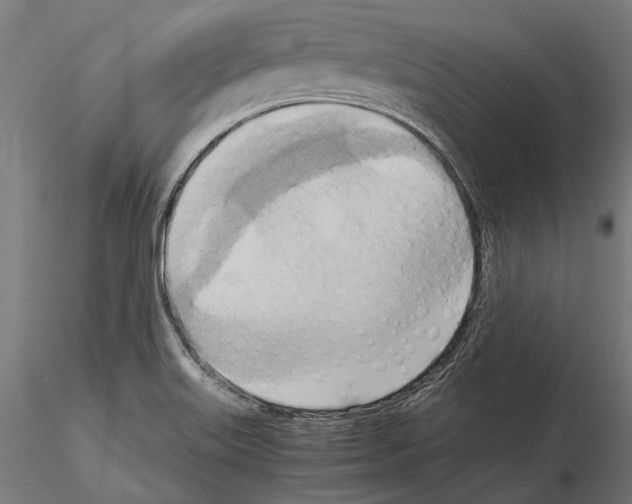 X0000115191515200912091058