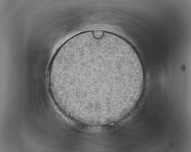 X0000115191517200912091058