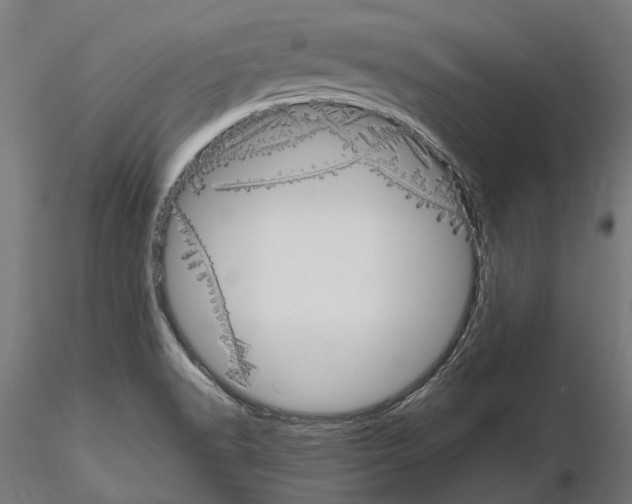 X0000115191518200912091058