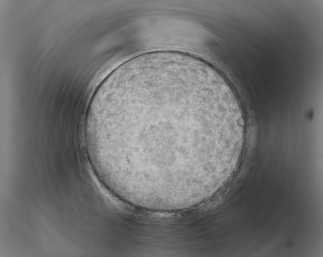 X0000115191521200912091059