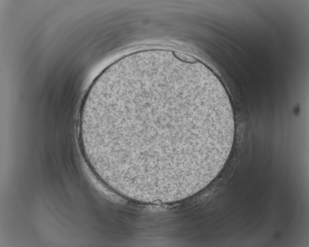 X0000115191523200912091059