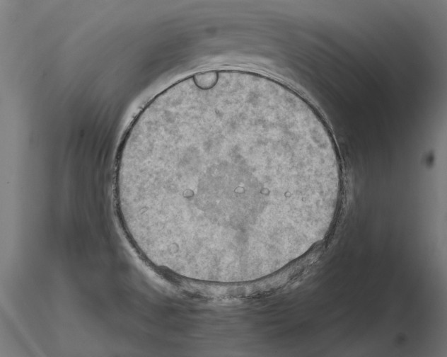 X0000115191525200912091059