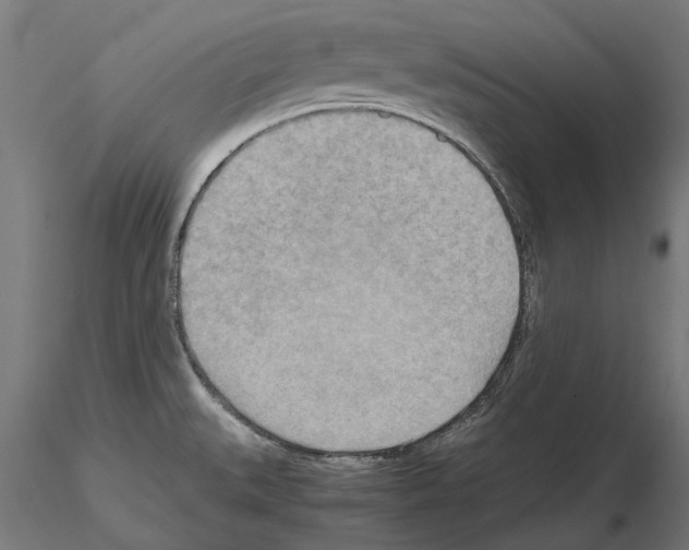 X0000115191527200912091059