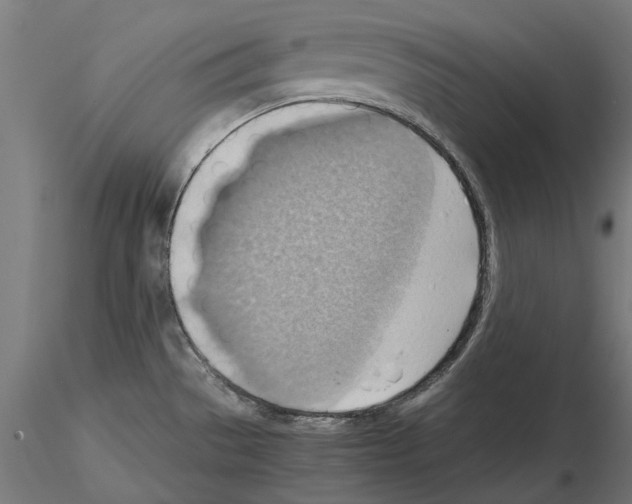 X0000115191529200912091059