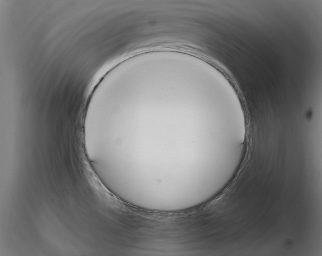 X0000115191530200912091059