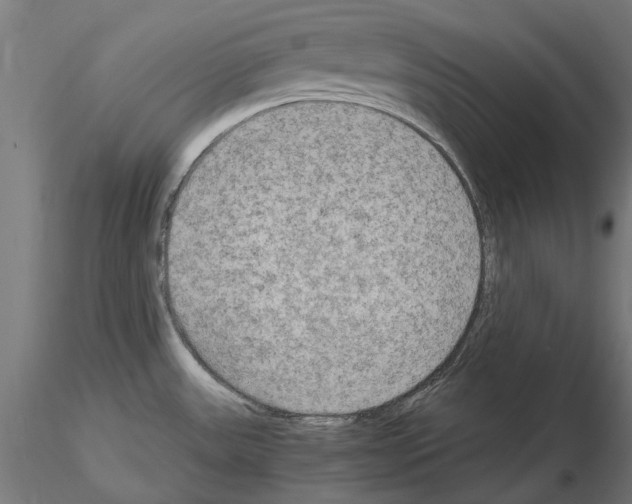 X0000115191531200912091059