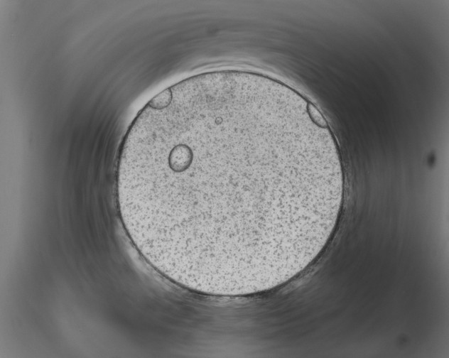 X0000115191534200912091059