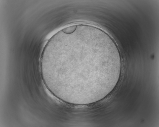 X0000115191535200912091059