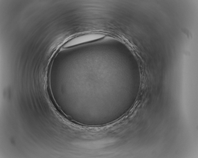 X0000115200002200911121852