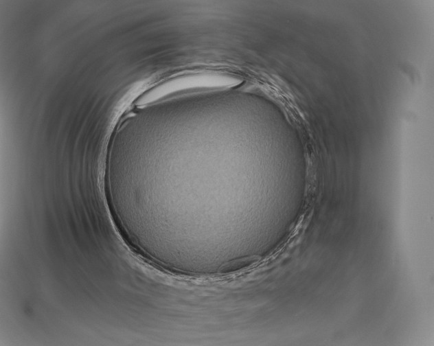 X0000115200003200911121852