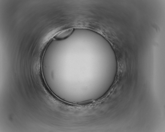 X0000115200005200911121852