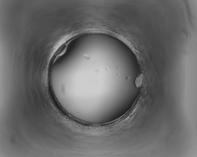 X0000115200008200911121852