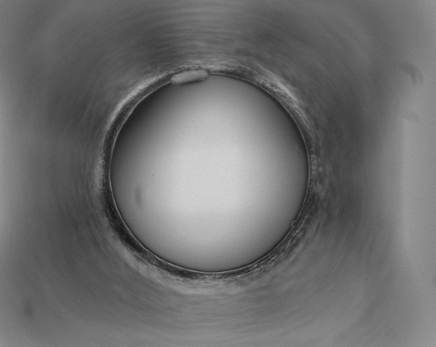X0000115200012200911121852