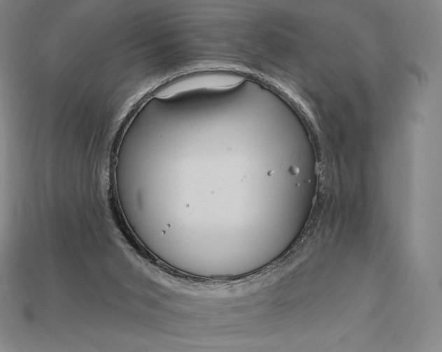 X0000115200015200911121852