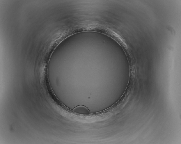 X0000115200018200911121852