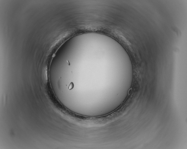 X0000115200020200911121852