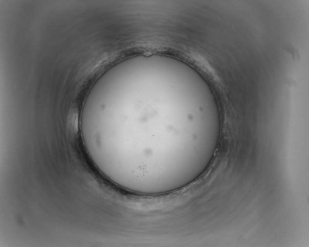 X0000115200021200911121852
