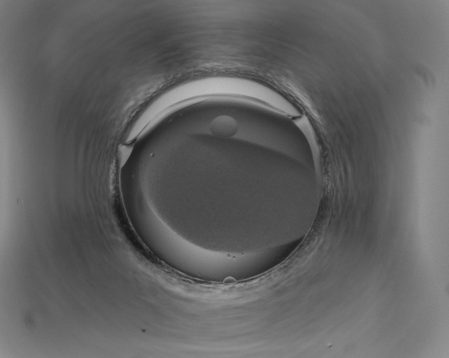X0000115200023200911121852