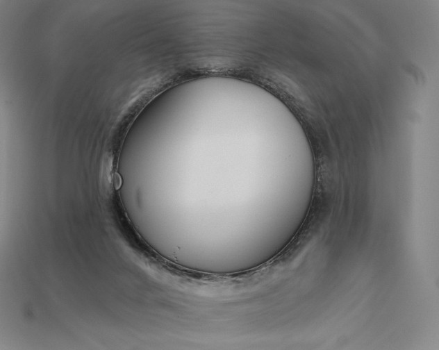X0000115200024200911121852