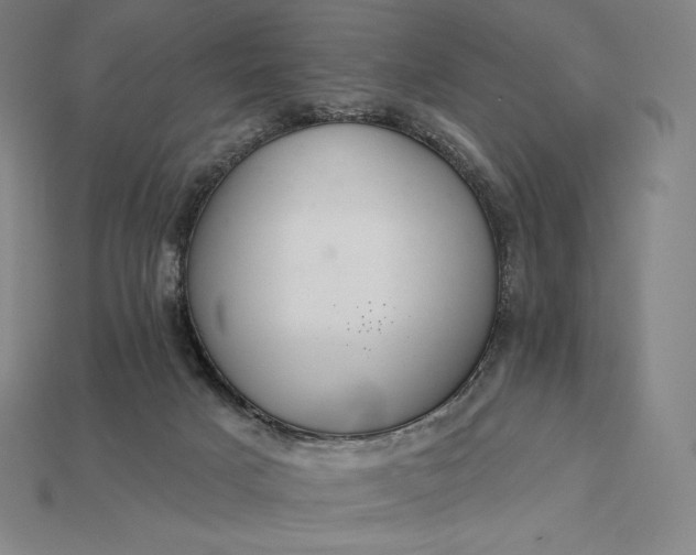 X0000115200025200911121852