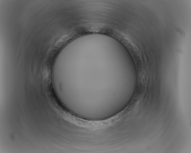 X0000115200031200911121852