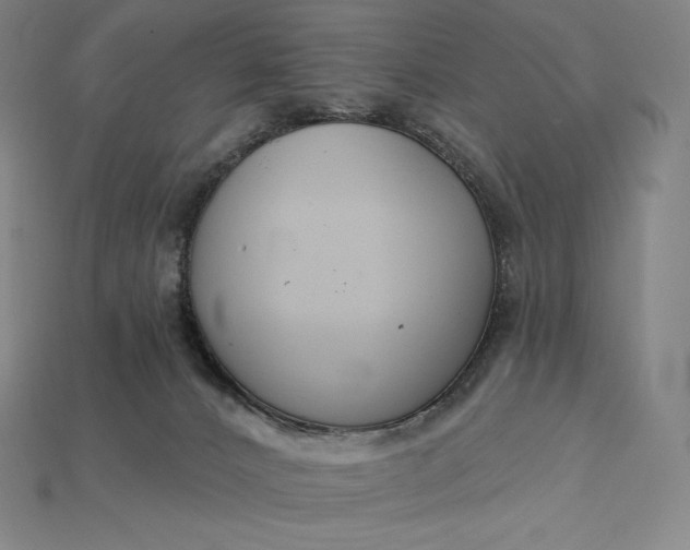 X0000115200032200911121852