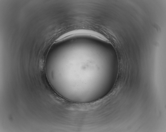 X0000115200033200911121852