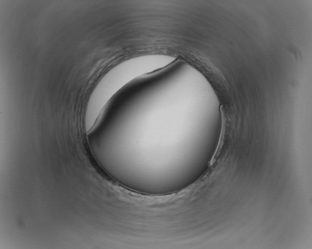 X0000115200035200911121852